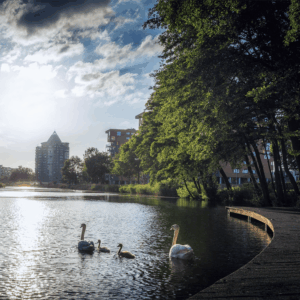 Apeldoorn energielabel